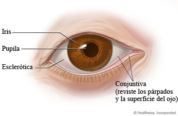 ../images/cfdbfbe22cbb04bef8690ec2faea944c.jpg